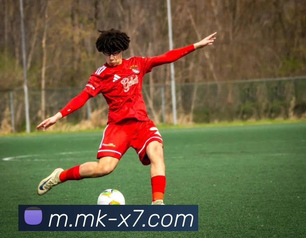 mk体育入口全站App